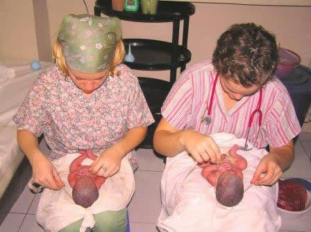 newlife midwife school